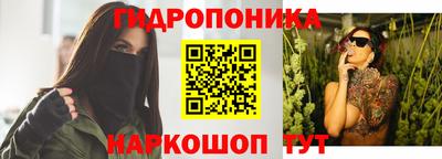 шишки Гагарин