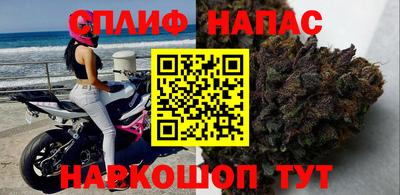 шишки Гагарин
