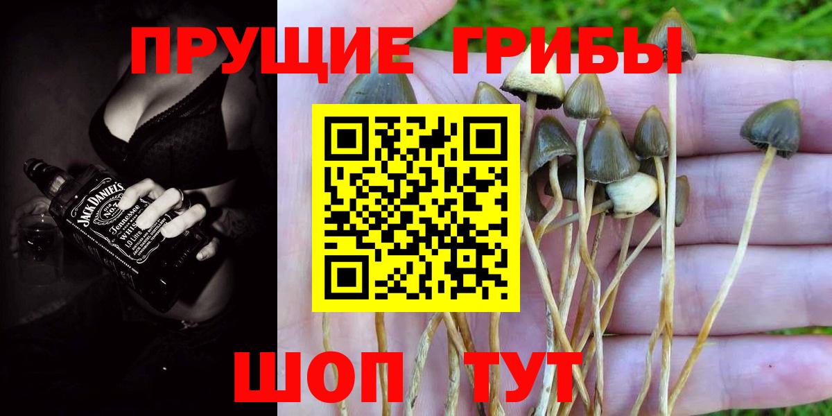 Галлюциногенные грибы прущие грибы Стрежевой